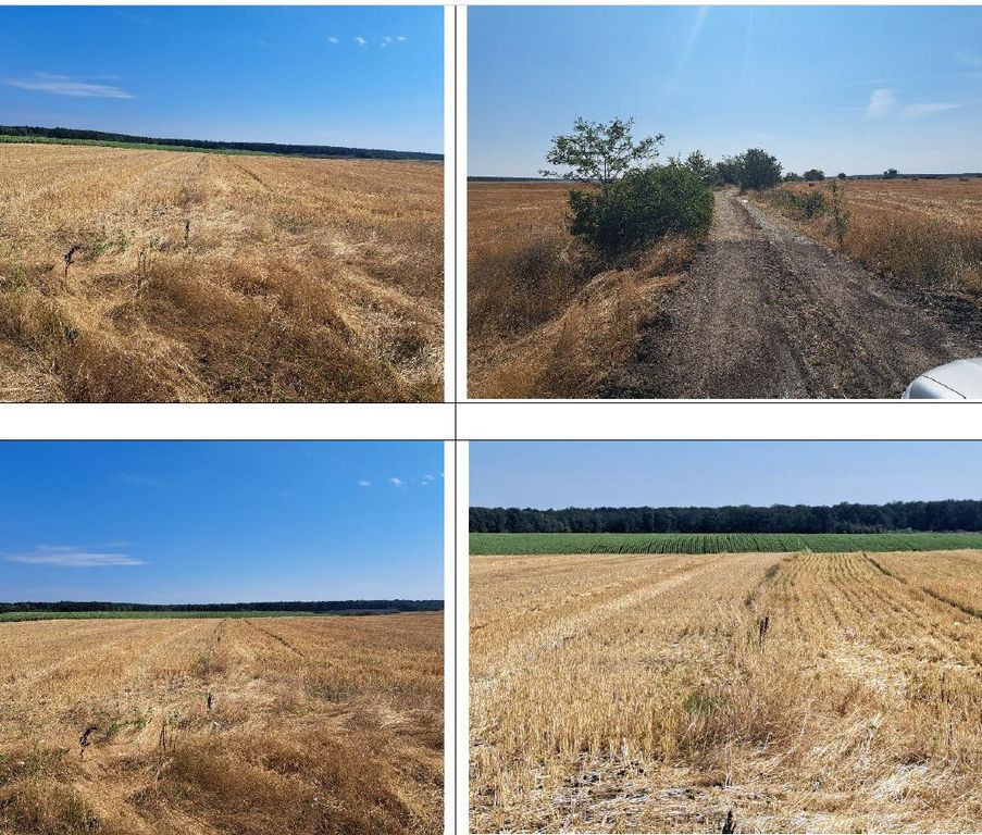 Cota de 3/4 din teren 9800 mp, loc. Bucovăț. Jud Dolj