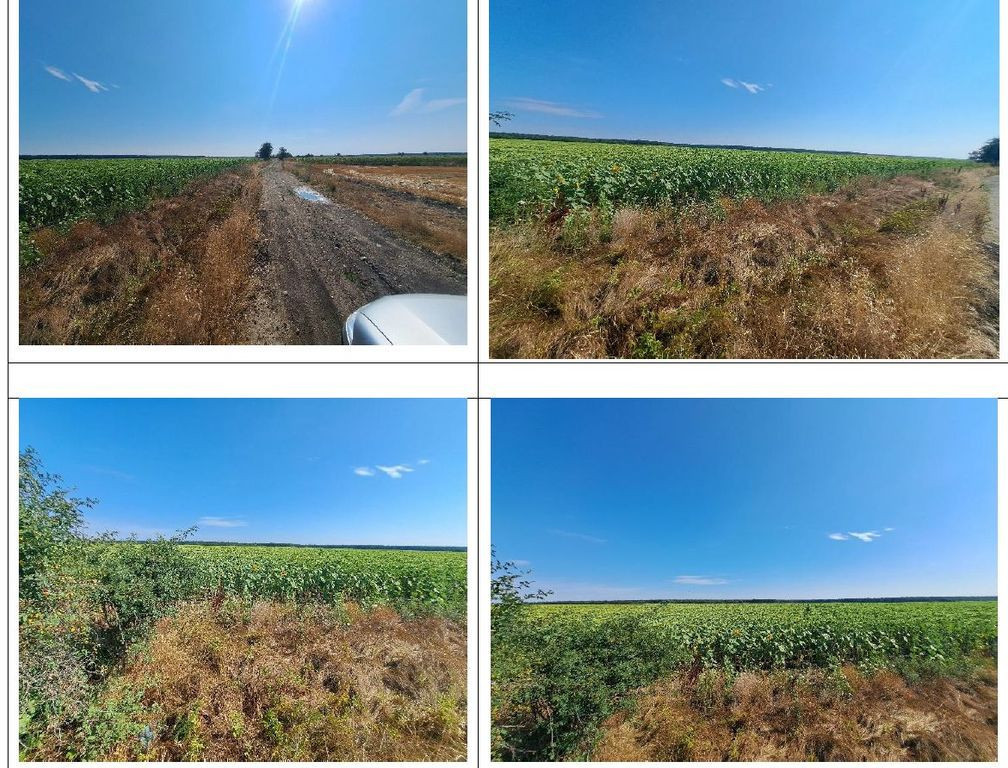 Cota de 3/4 din teren 4721 mp, loc. Bucovăț. Jud Dolj