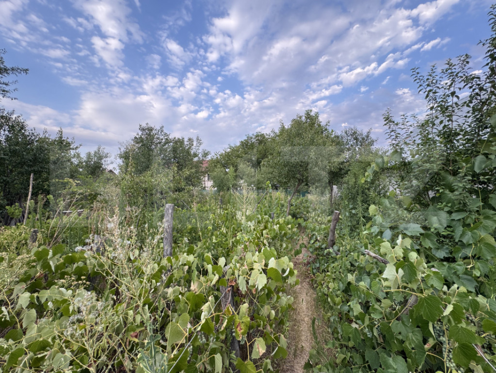 Casa batranesca, 97,57 mp utili, 1100 mp teren, Podari