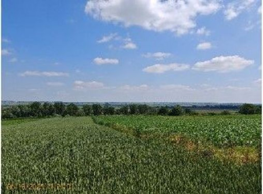 Teren extravilan Bosanci, ID: R2649419