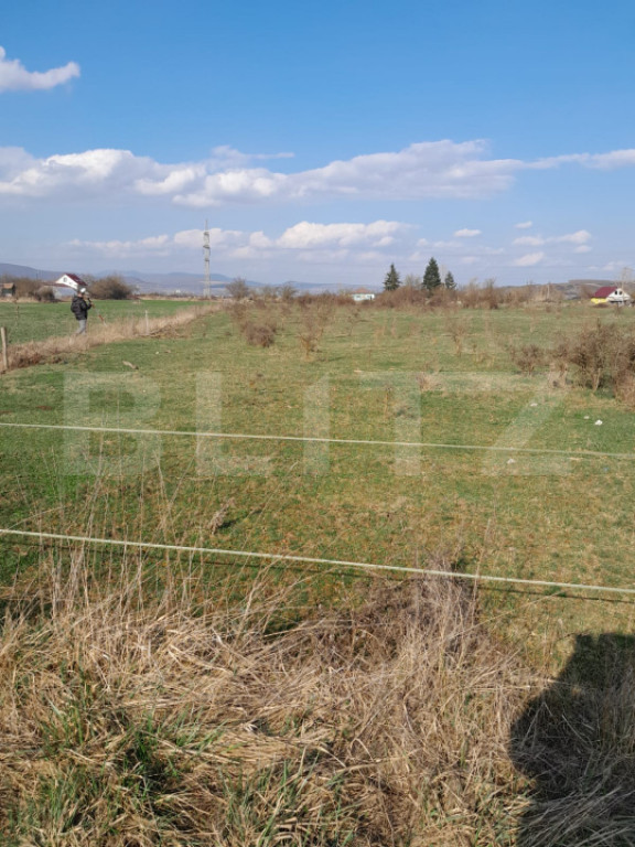 Teren intravilan 5000 mp, investiție într-o zonă în dezv