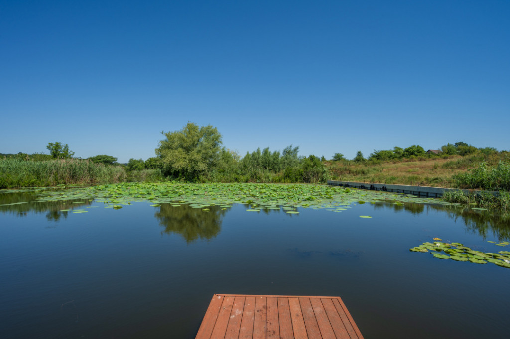 Izvorani, Delta Snagov, Tiny House, Loc ponton, Comision 0 %