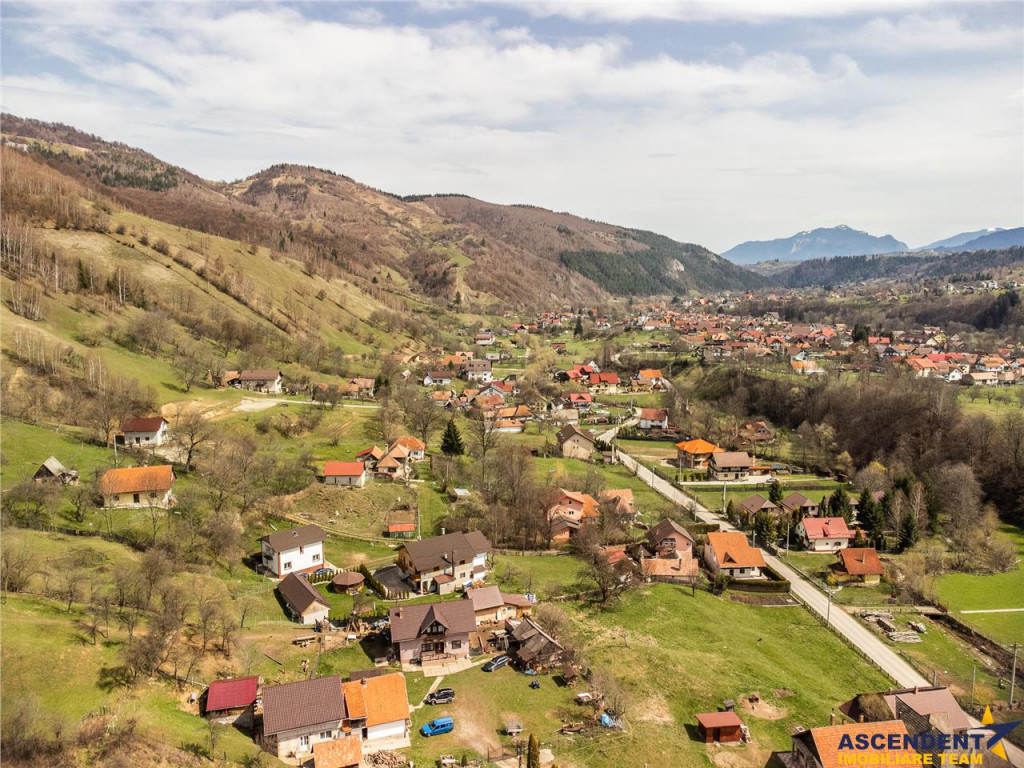 FILM! Teren de 6.500 mp si camin stramosesc, in inima Bucegi