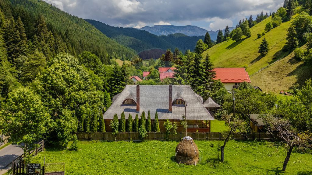REZERVATA! CASA CARAMITRU | POVESTE VIE SI ISTORIE | MOIE...