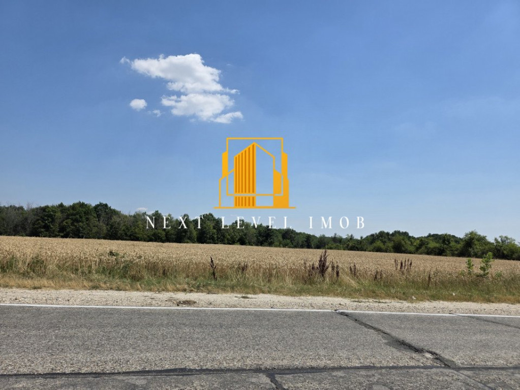 Teren intravilan de vânzare – 2.500 mp – Moșoaia