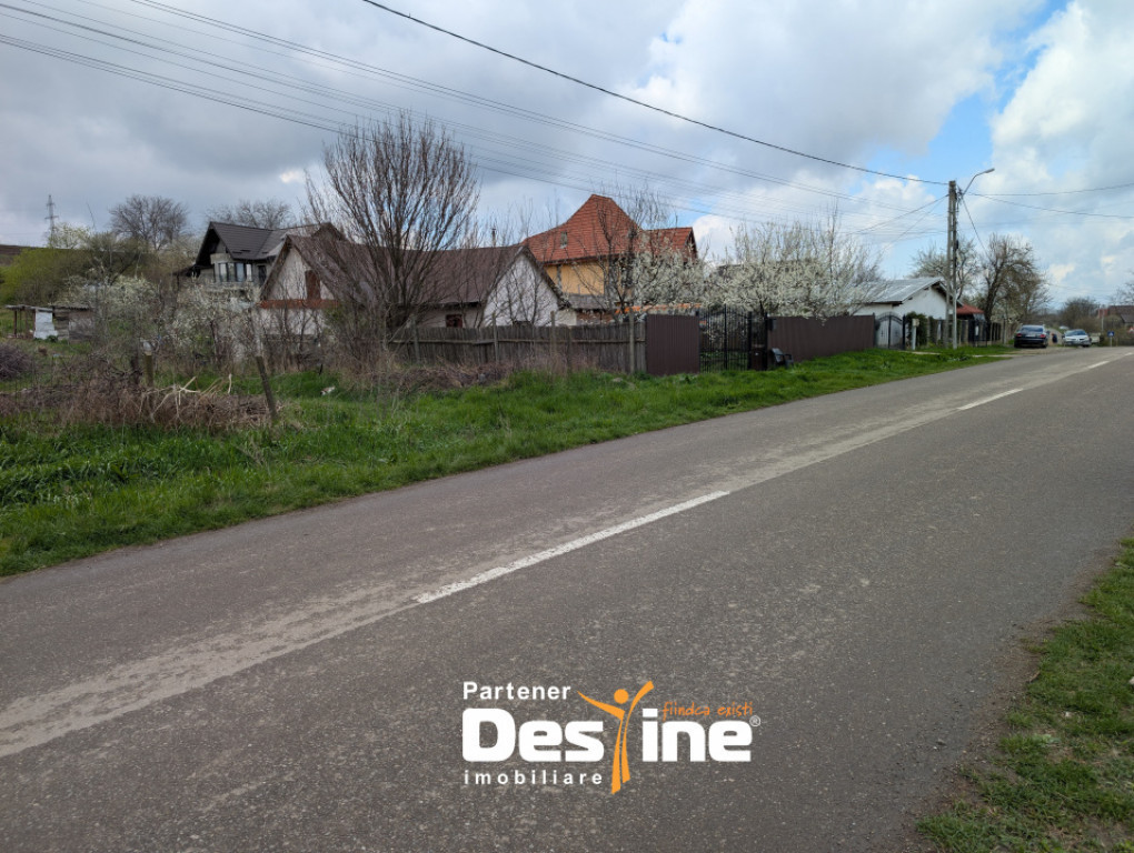 Comision Zero % - 1200 mp teren intravilan, la asfalt - Vale