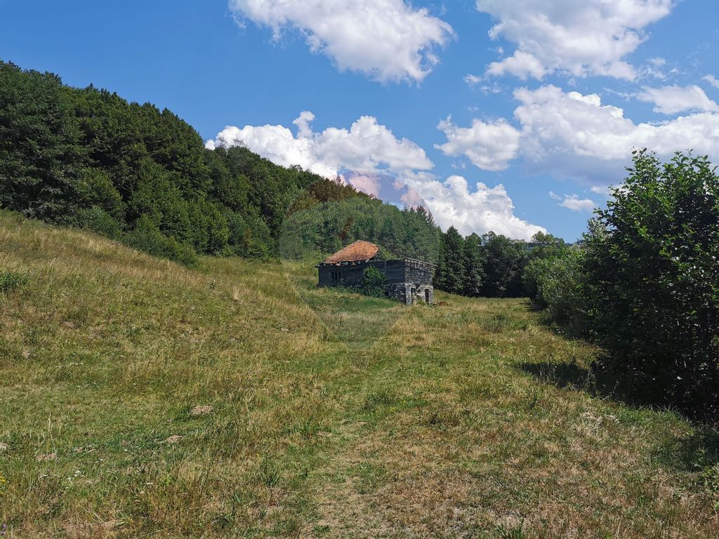 Teren intravilan și extravilan de vânzare, 25.380 mp V?...