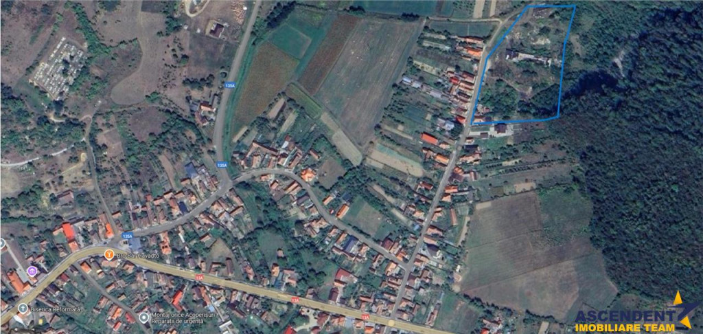 Domeniu de 13.500 mp: potential investitie fabrica de carami