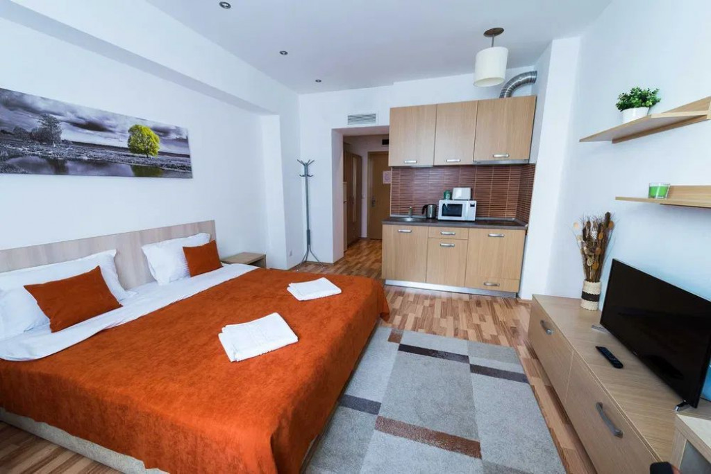 Garsoniera Rin Grand Hotel / Vitan , complet mobilata si ...