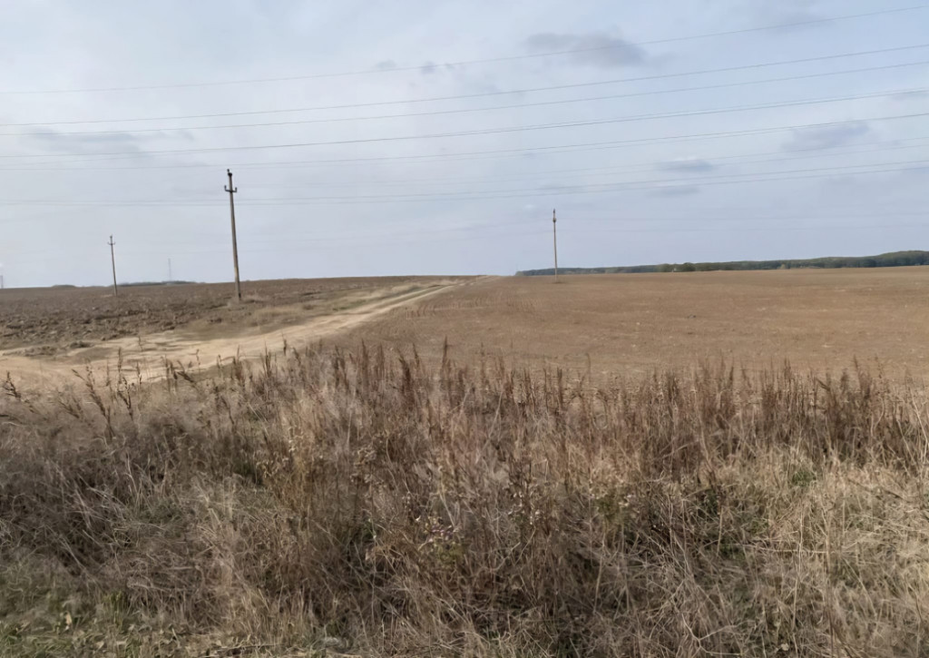 Teren extravilan 5000mp, Malu Mare, 0 comision la cumparator