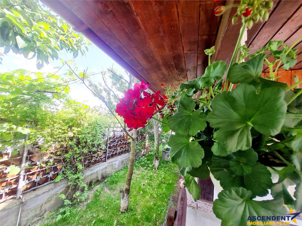 Rezidenta mobilata si echipata, cu lumina naturala, verdeata