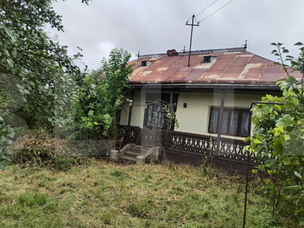 Casa batraneasca cu 2700mp teren intravilan - Broscauti