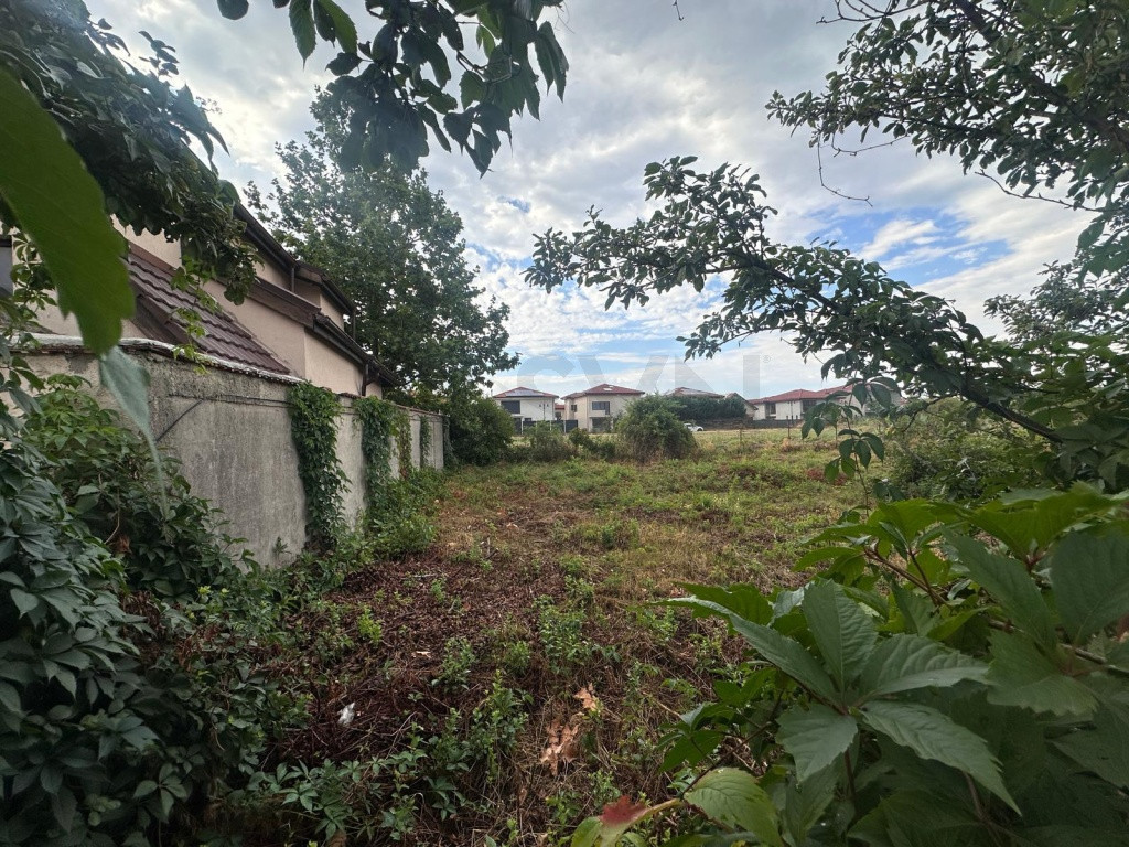 Teren I Campul Pipera