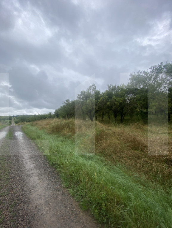 Teren cu potențial rezidențial – Simeria, Sfântu Gheorg