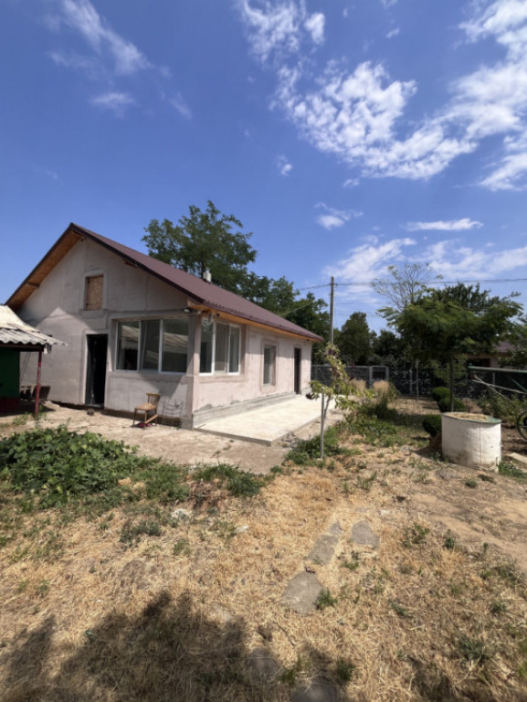 Casa de vacanta - Munteni Buzau - Jutetul Ialomita - Curte 2