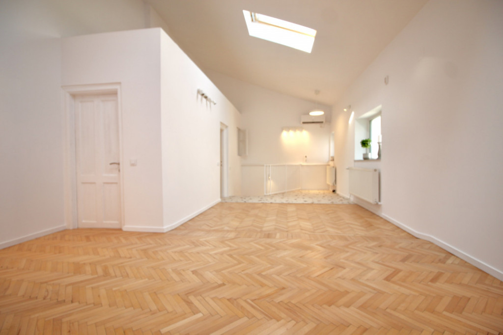 ION MIHALACHE-GALA GALACTION, CASA NEMOBILATA, CURTE COMUNA!