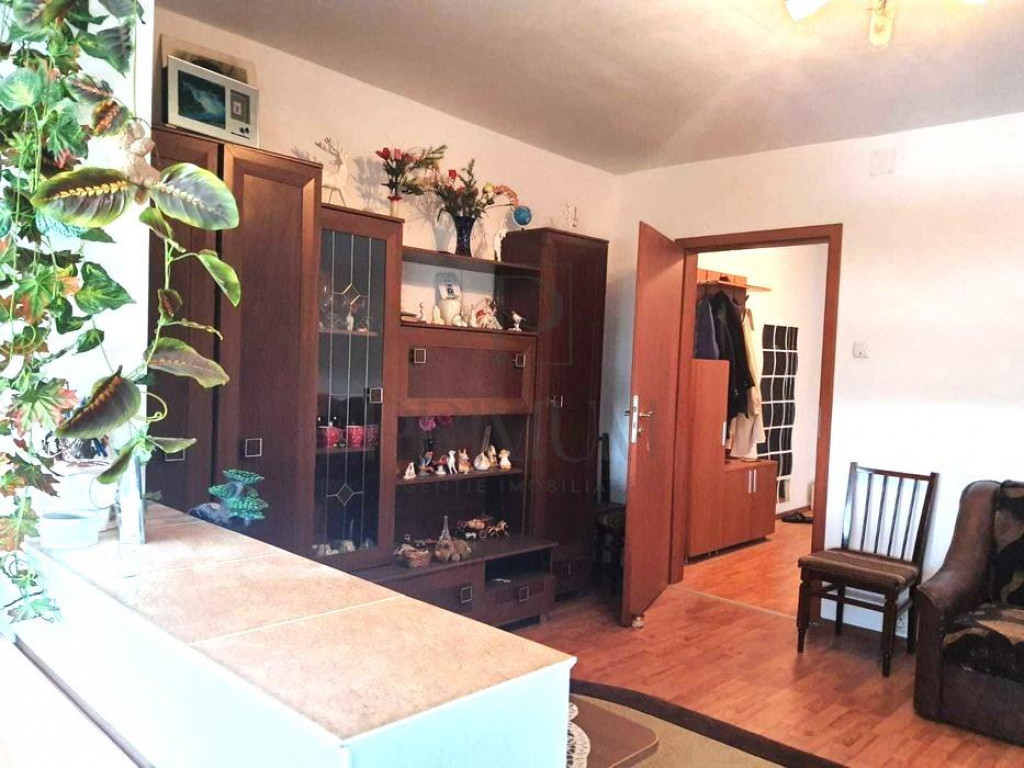 Apartament spatios - Etaj Intermediar - Bloc Anvelopat - Zon