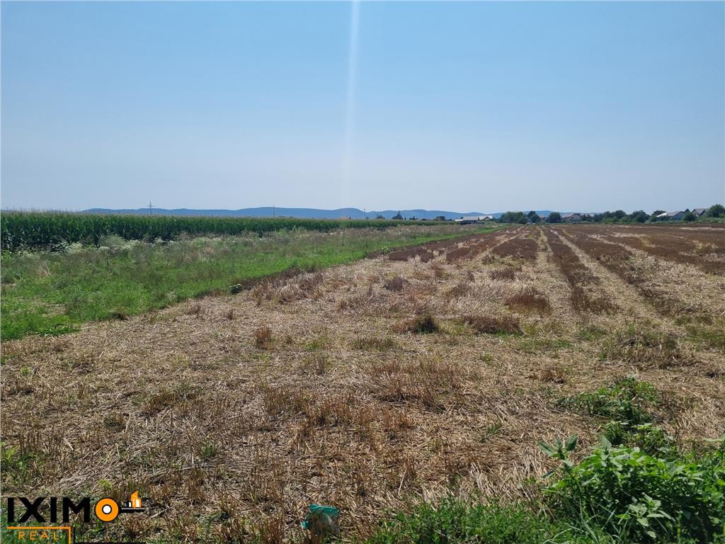 Teren Calea Barladului