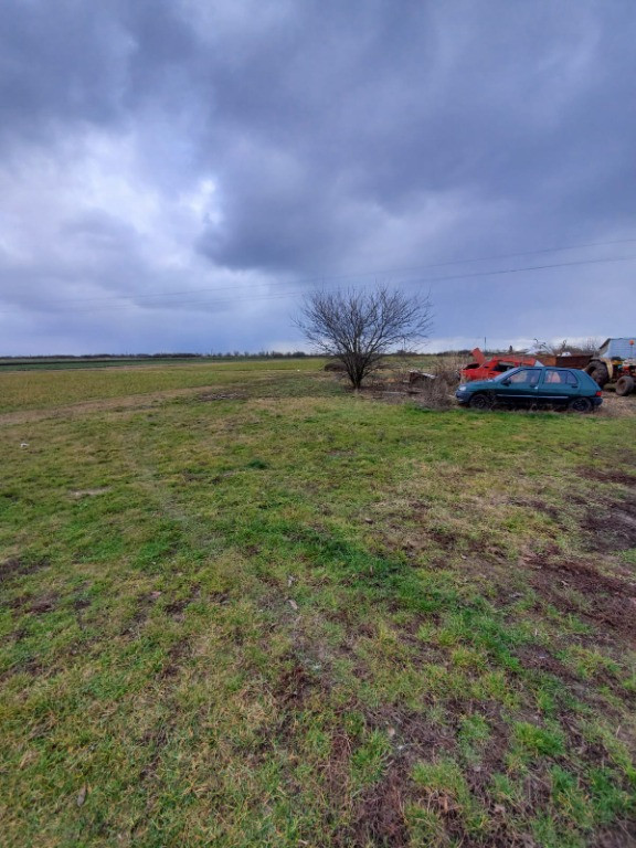 Teren 5000 MP in Zadareni - ID : RH-13238-property