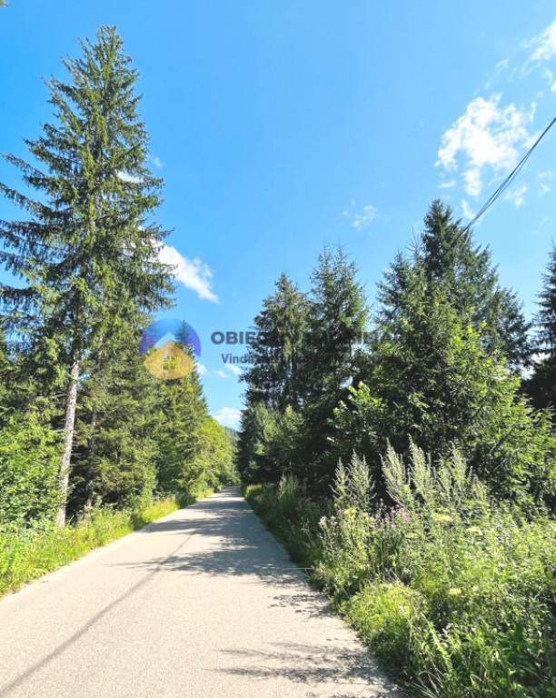 Teren TARCǍU - SCHITU judetul NEAMȚ