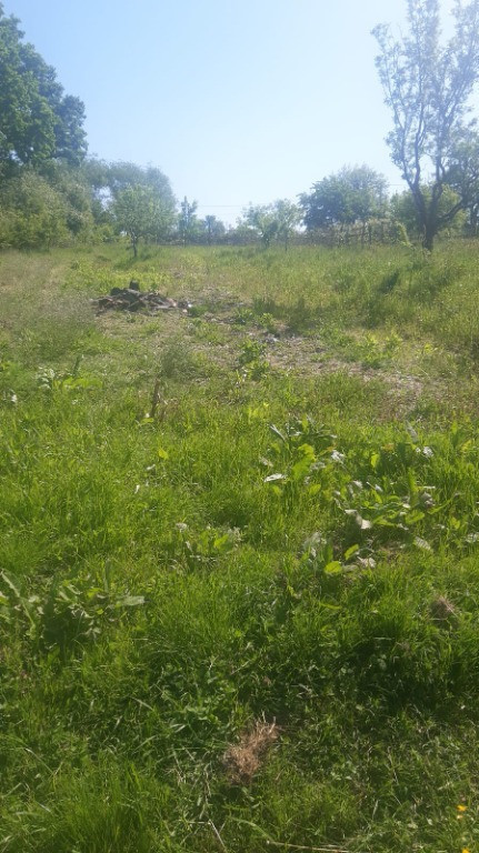 Satu Nou de Jos,15 ari teren