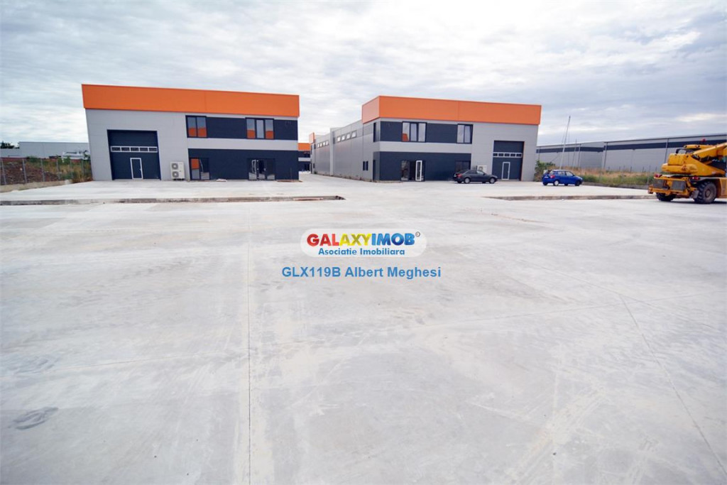 Hala 482 mp Chiajna Centura