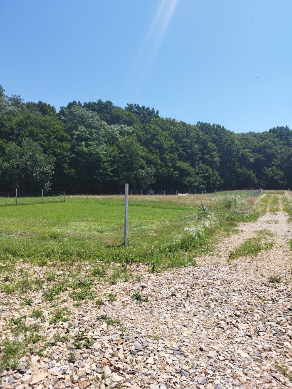 Grosi, zona Regal, 8+8 ari teren