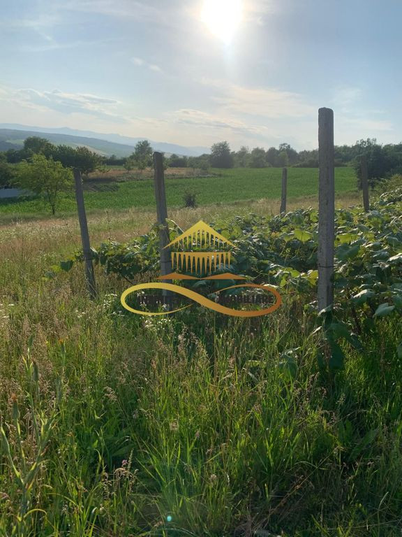 Teren EXTRAVILAN de vanzare BOSOTENI / TESCANI 7100 mp