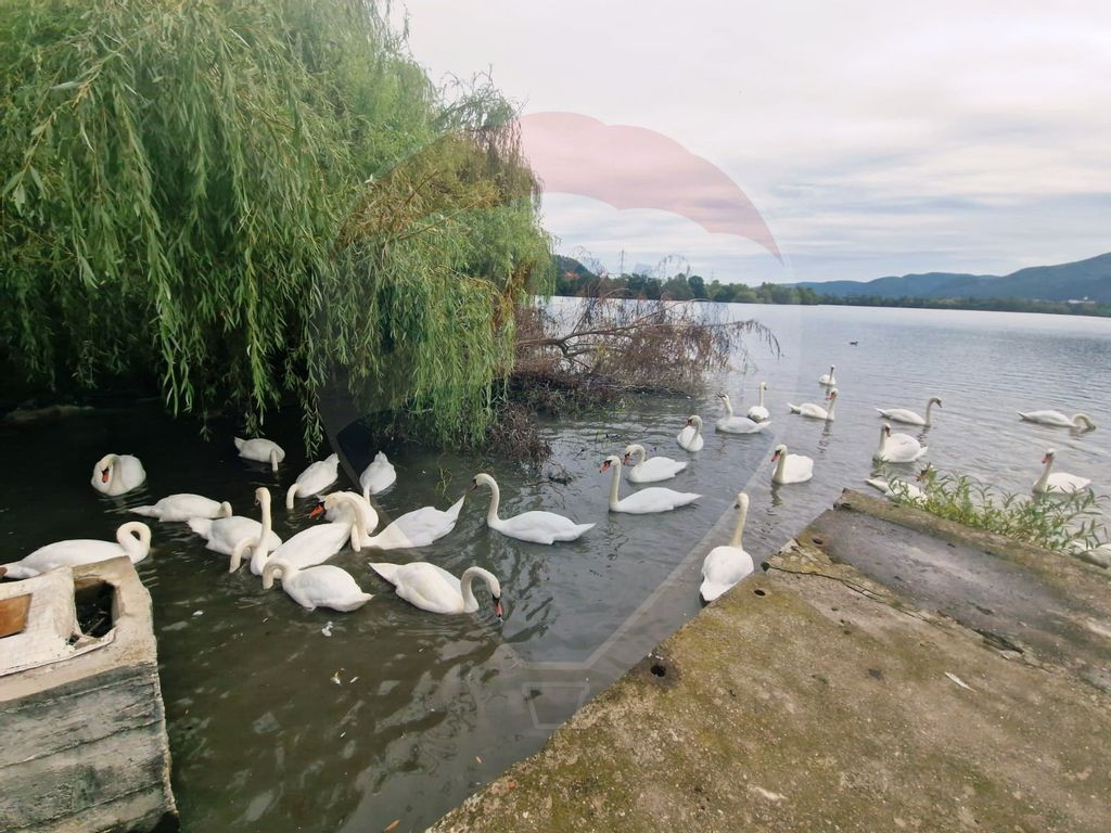 Casă / Vilă cu 6 camere de vânzare