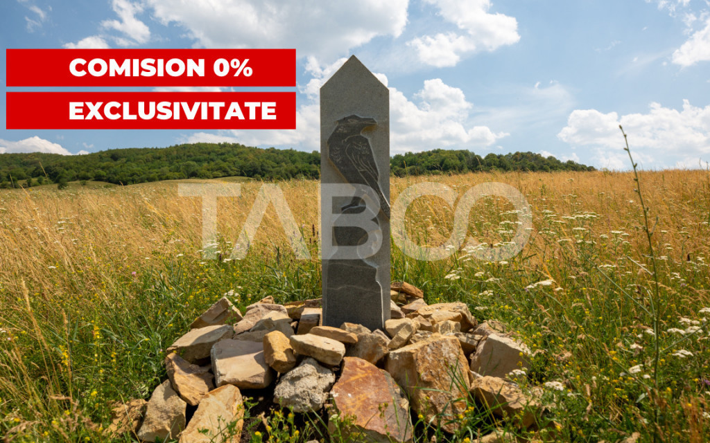 Teren extravilan 2900mp pretabil investitie Lovnic Via Trans