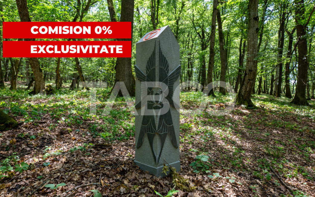 Teren extravilan 5490 mp langa padure limita Via Transilvani