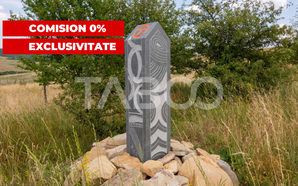 Teren extravilan 7100 mp cu acces din drum sfaltat pretabil