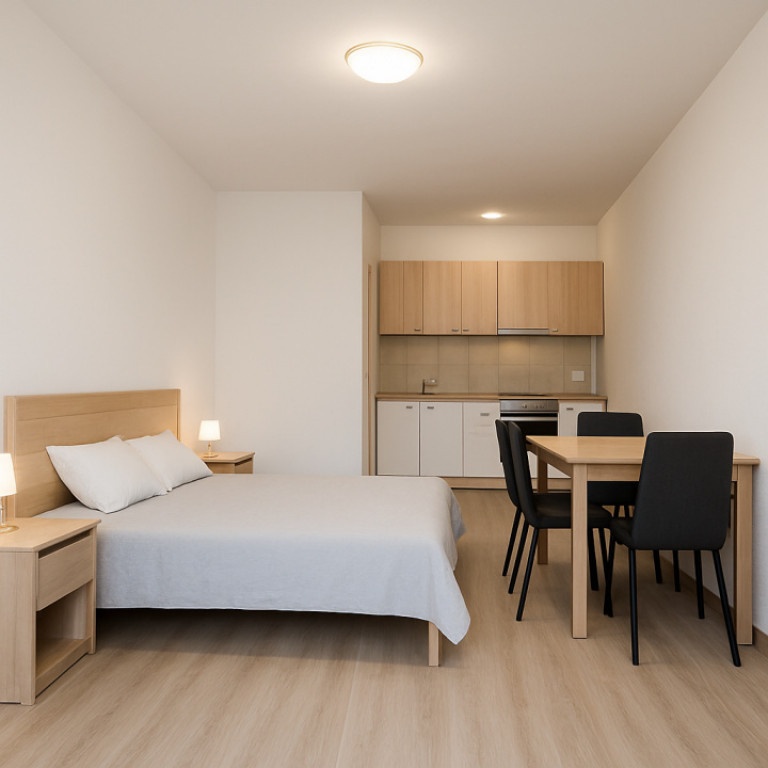 Apartament cu o cameră zona Traian