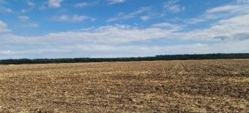 Teren extravilan Branesti, ID: R2649181