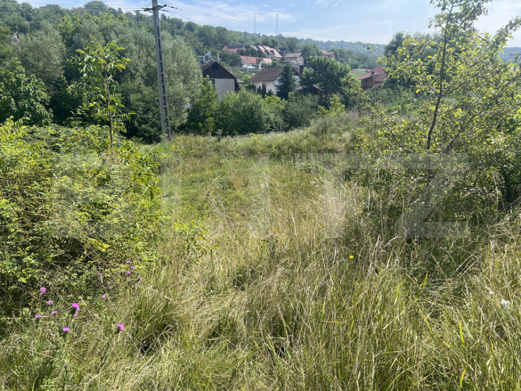 Teren 1400 mp, intravilan – Viile Dealul Mic, zonă liniș