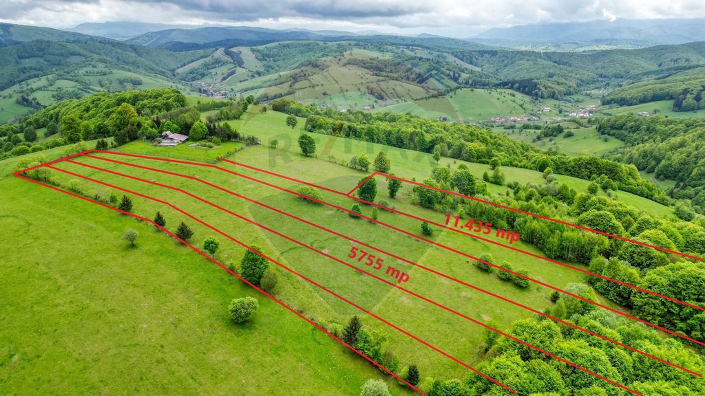 Teren de vanzare 5,755mp/ Sita Buzaului