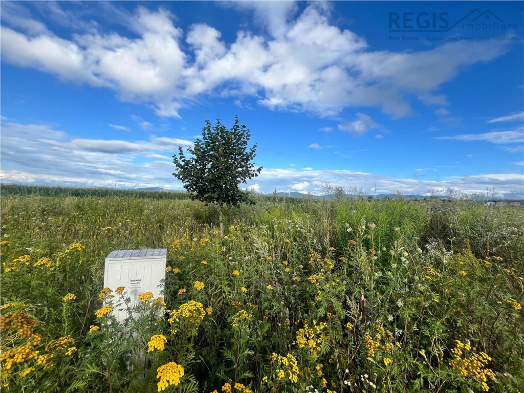 TEREN INTRAVILAN, 500 MP, HARMAN