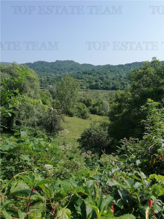 Teren intravilan Sotrile 6762 mp – Investitie, camping, ag