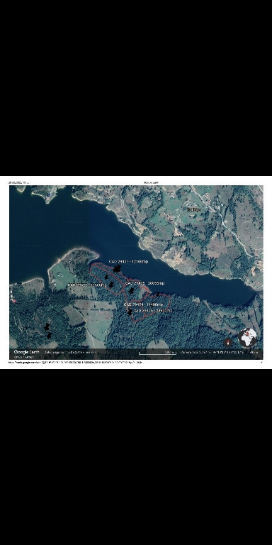 Teren intravilan 11 hectare, cu acces la lac, în loc Colibita