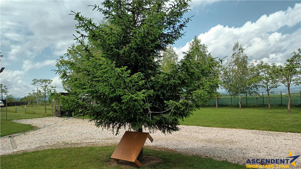 Film! 4.000mp - Afacere la cheie: Camping amenajat, Rasnov -