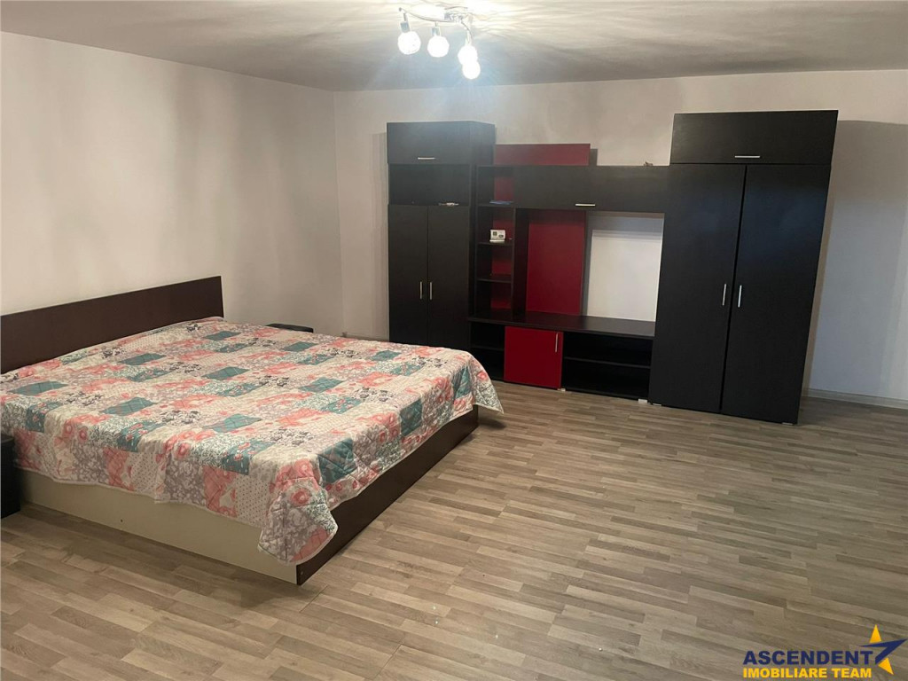 Pet friendly! Garsoniera de inchiriat, Central