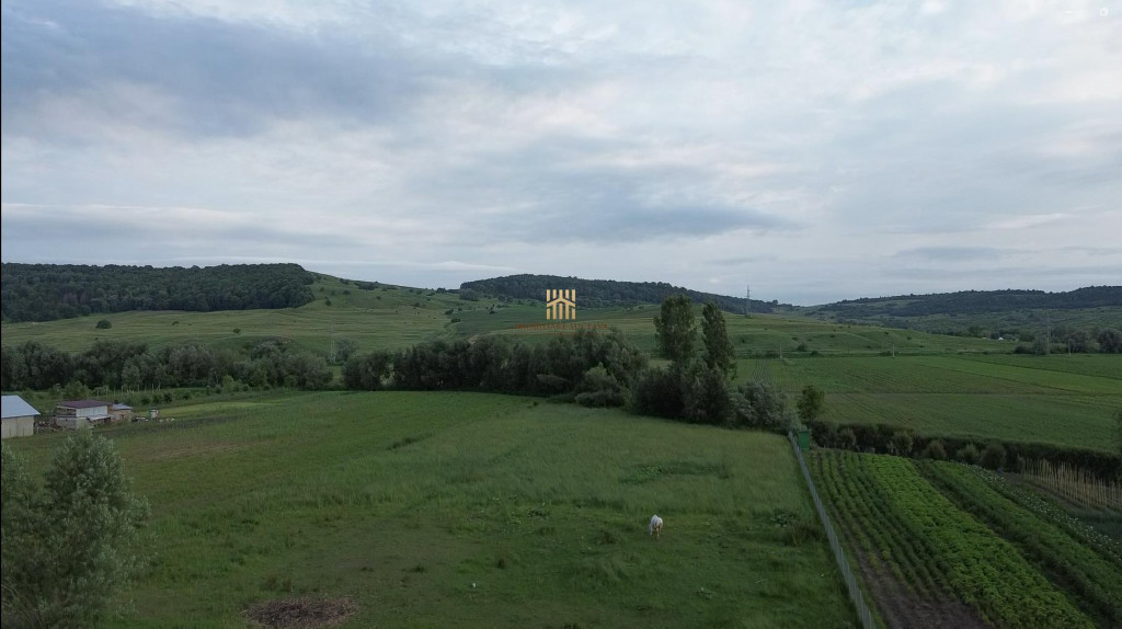 Teren 3953 mp Falticeni Tarna Mare De 0727817187