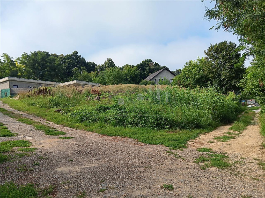 Bucium langa Motel TEREN 1650mp intravilan toate utilitatile