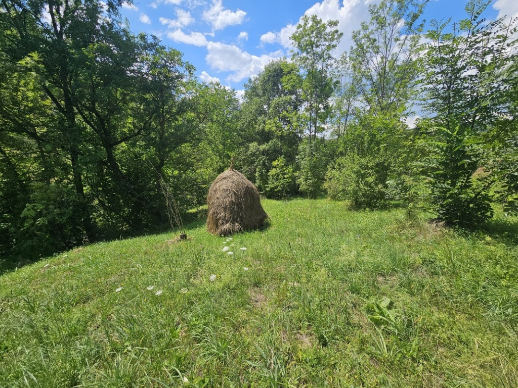Teren de in Valea Doftanei