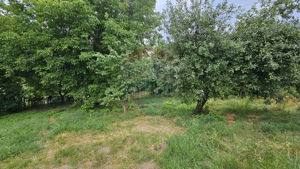 Teren intravilan 2,036mp Pădureni-Șendriceni, Botoșani