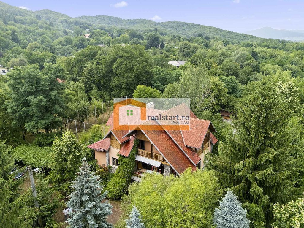 Pet Friendly, Vedere Padure, 5000mp teren, D+P+1E+M, semi...