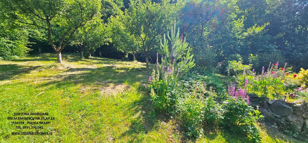 Proprietate la 5 km de oras - Vila P+1 + 5600 mp teren