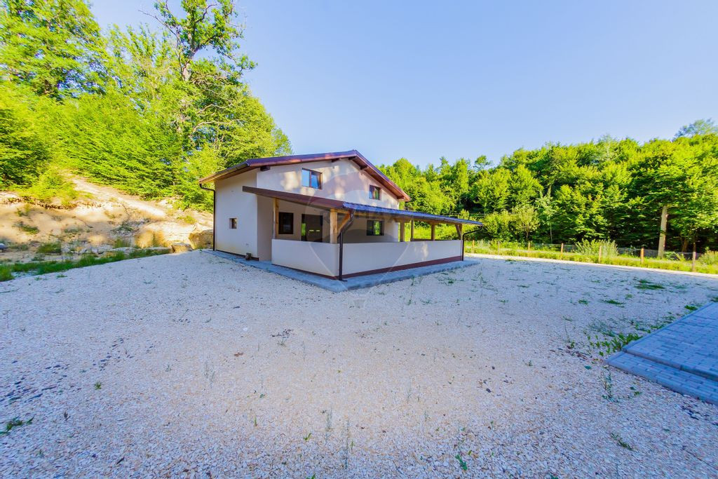 Afacere, Pensiune cu 9 camere de vânzare