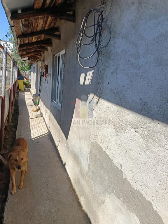 Zona Buna! Casa batraneasca, Brailita, 3 camere, Suprafata 2