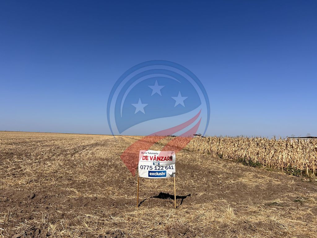 Teren intravilan de vanzare in Pielesti